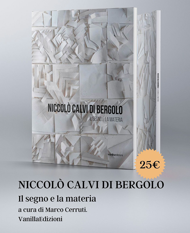 Catalogo opere Niccolò Calvi - Il Segno e la Materia